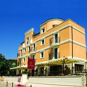 Hotel Cittar